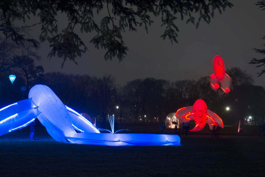 Fête des lumières 2014, le “jardin d’hiver” au parc de la Tête-d’Or