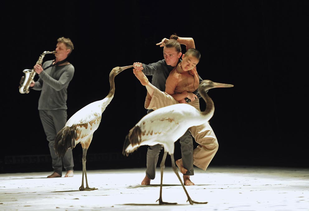 Light Bird – Chorégraphie de Luc Petton © Virginie Pontisso