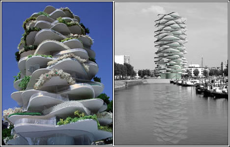 Urban Cactus () Urban Cactus ()