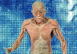 L'exposition Our Body L'exposition Our Body