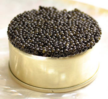 caviar