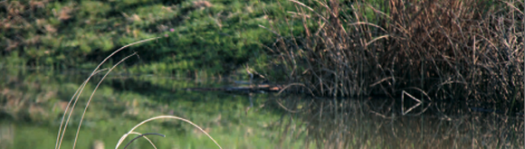 Capture d’écran 2011-12-12 à 11.05.40