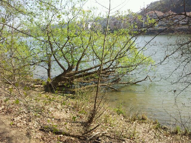 20120329_121226 () 20120329_121226 ()