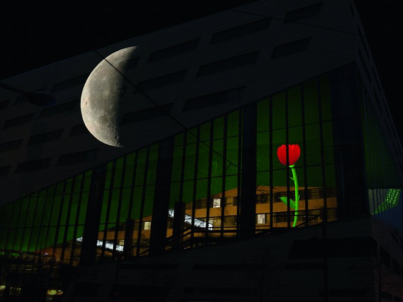 Jardins intérieurs, de Cozten, Fête des lumières 2012