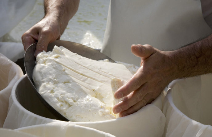 Fabrication du gorgonzola