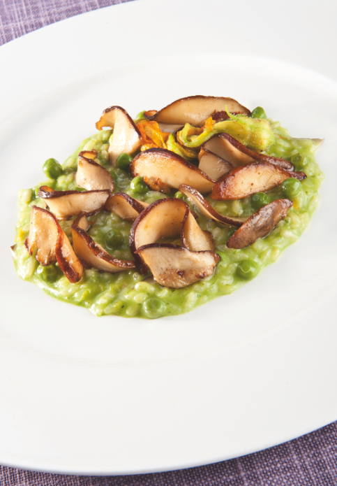 Risotto () Risotto ()