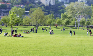 Gerland ()