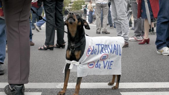 Manif des retraites sept 2013 © Tim douet_033