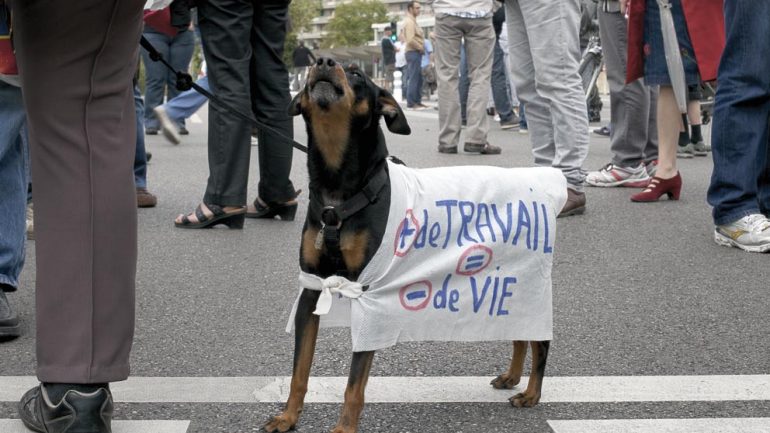 Manif des retraites sept 2013 © Tim douet_033