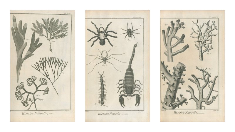 Planches de l’Encyclopédie, 1752 (impressions d’après gravures)