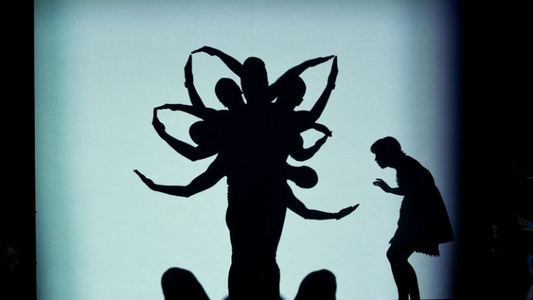 Pilobolus