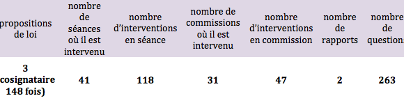 Activité de Patrice Verchère à l'Assemblée nationale