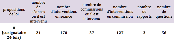 Pascale Crozon, son activité à l'Assemblée nationale ()