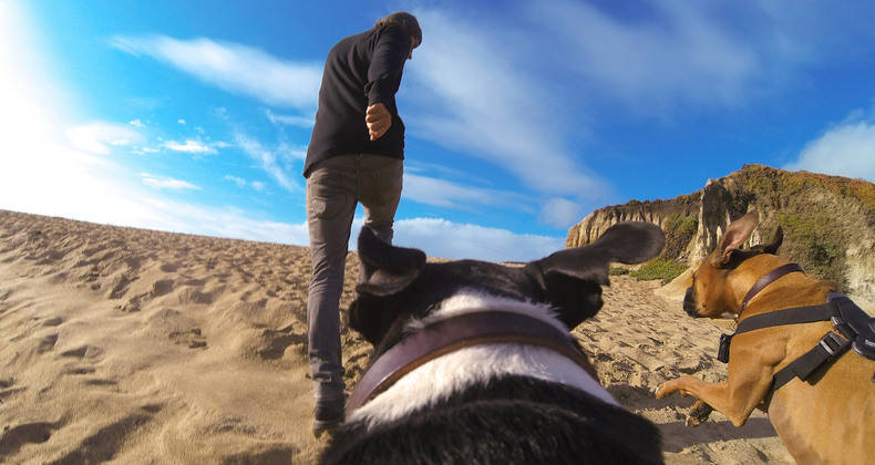 go pro () go pro ()