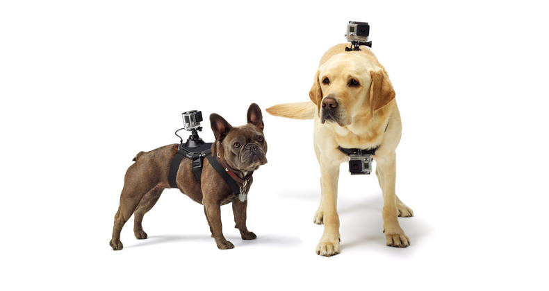 go pro () go pro ()