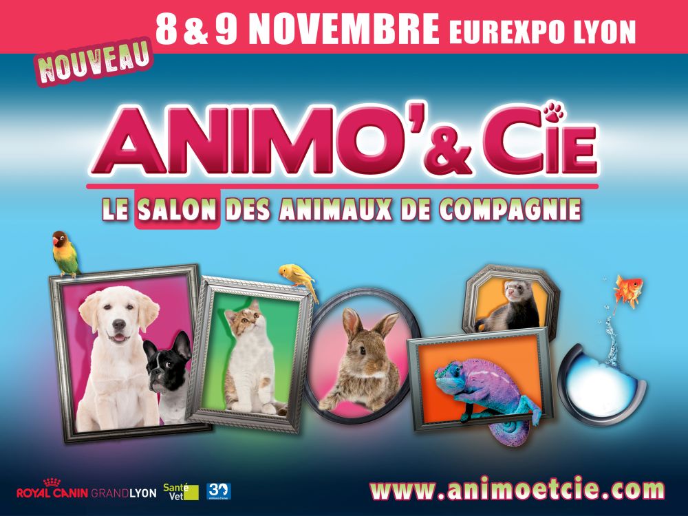 AFFICHE-ANIMO-avec-logos-partenaires-twitter () AFFICHE-ANIMO-avec-logos-partenaires-twitter ()