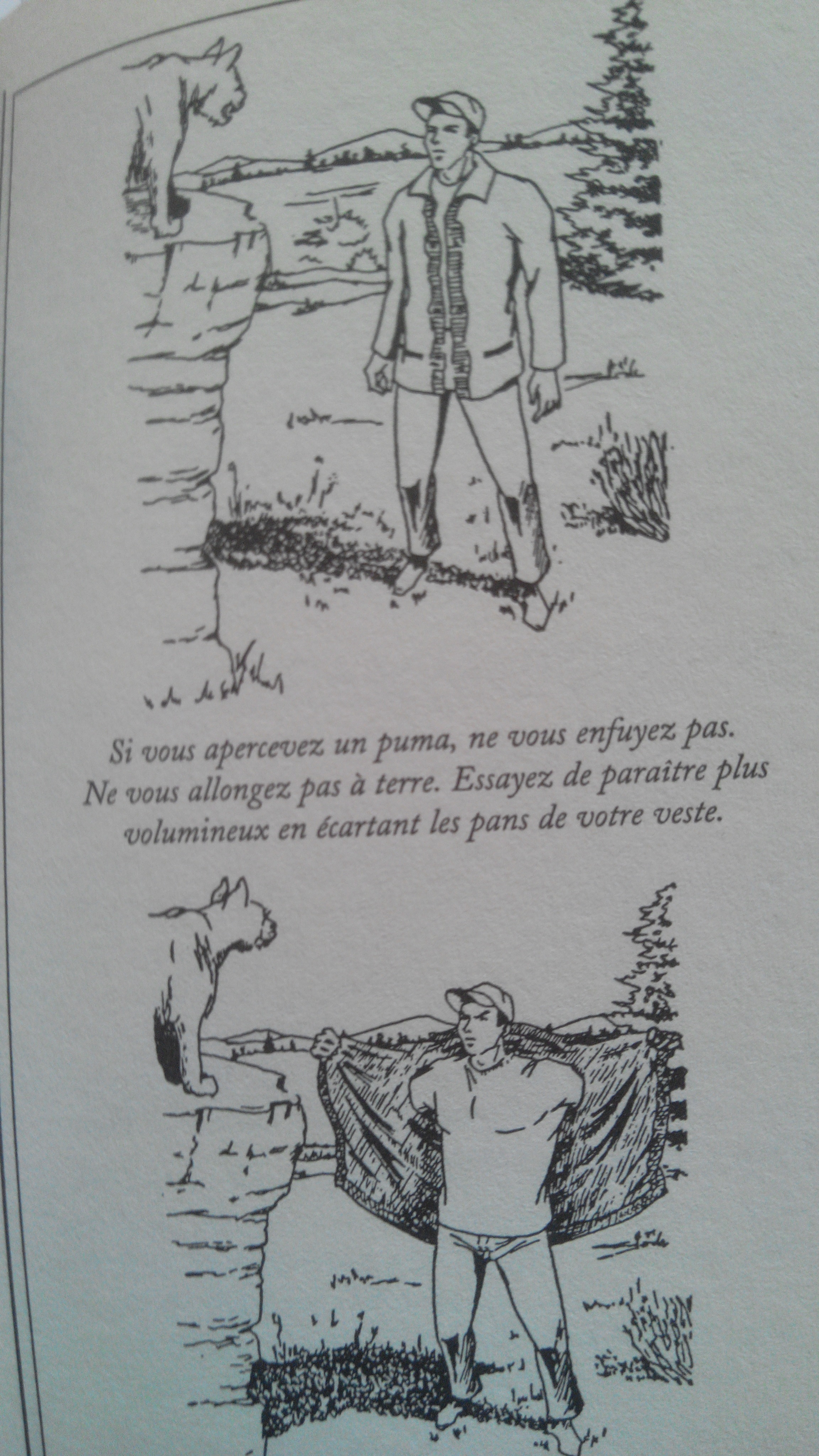 Comment échapper à un  puma ? Manuel de survie, de Joshua Piven et David Borgenicht