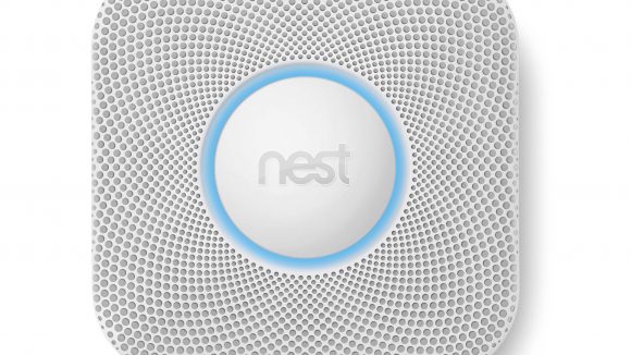 Nest