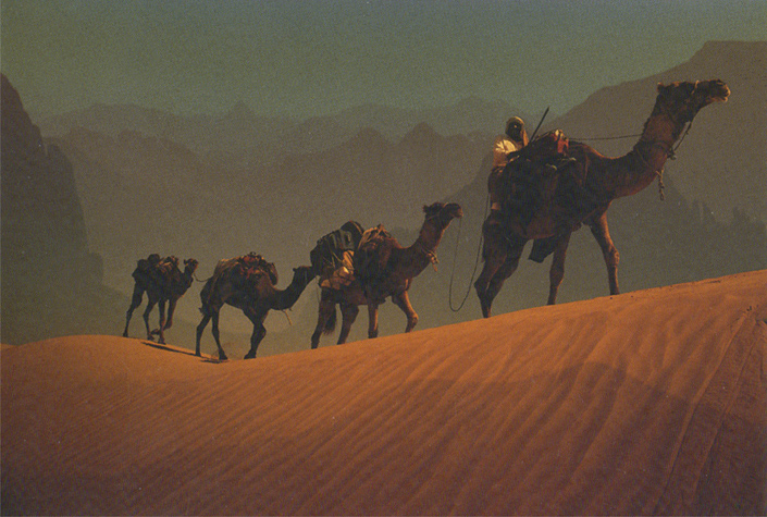 Sahara © Robert Putinier