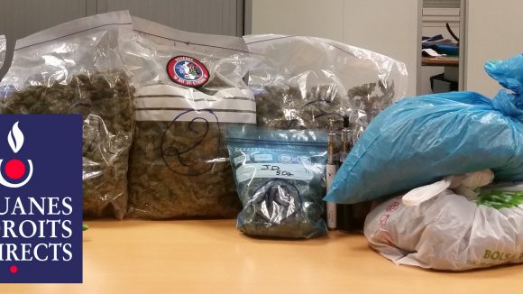 saisie de 3 kg d'herbe de cannabis