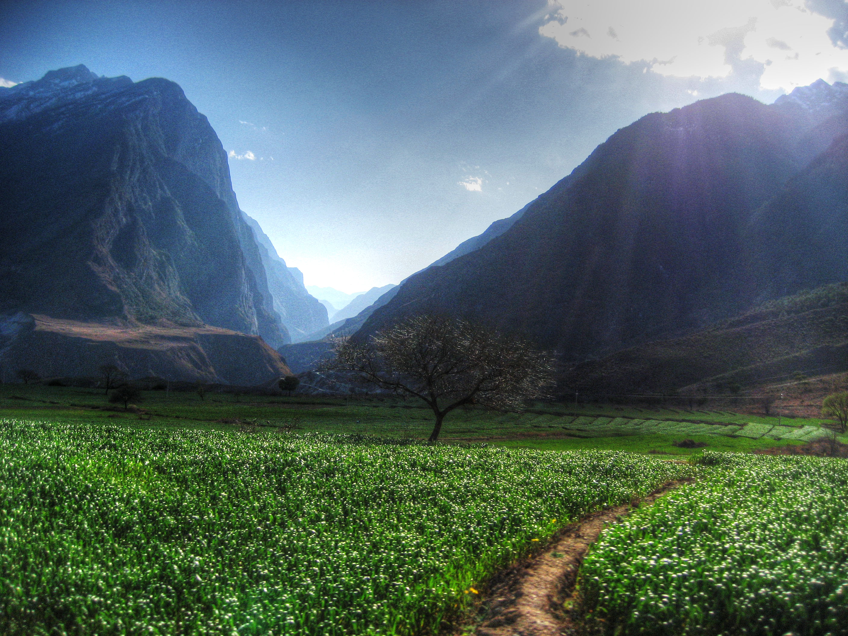 Bon Voyage (au Yunnan) () Bon Voyage (au Yunnan) ()