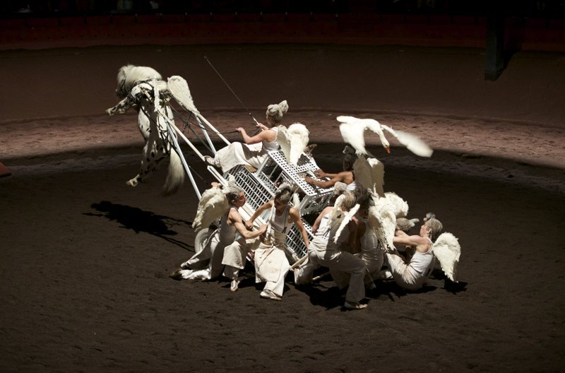 Zingaro – On achève bien les chevaux (élégies) © Hugo Marty