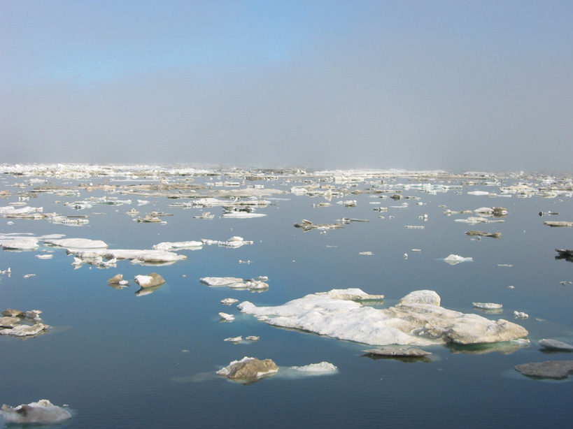 Evaporated Landscapes, de Mette Ingvartsen © DR