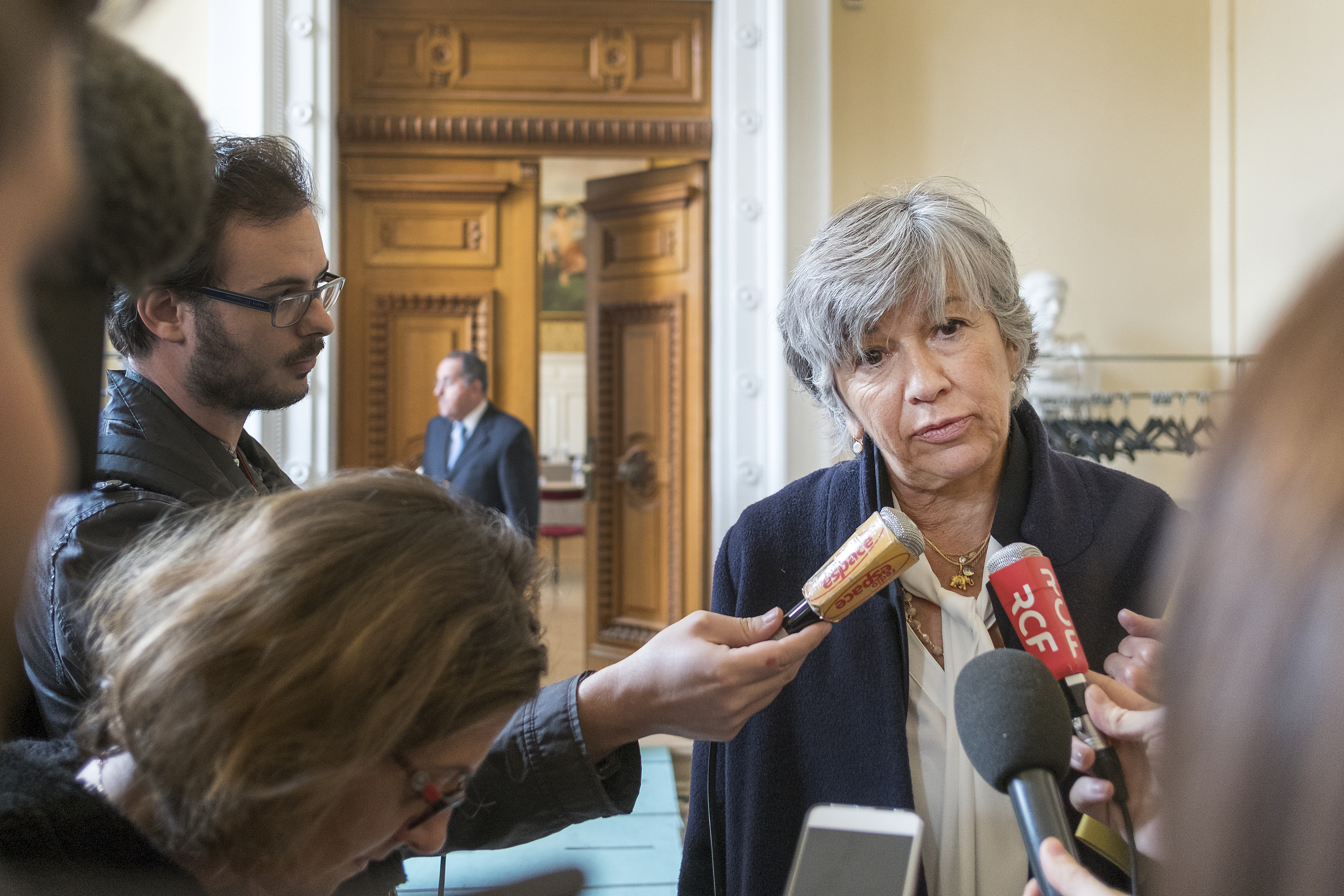 Florence Verney-Carron, vice-présidente à la culture du conseil régional, à la préfecture du Rhône le 4 novembre 2016 © Tim Douet