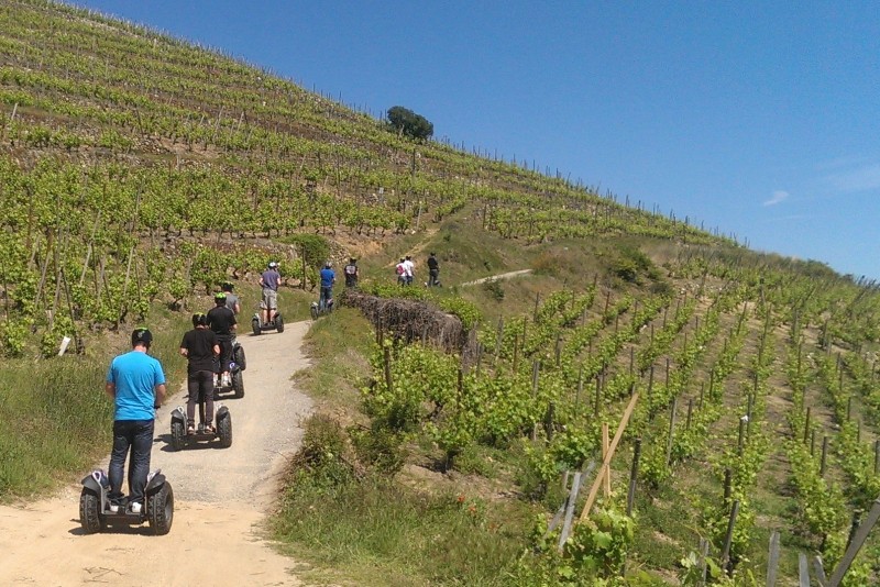 Balade en gyropode dans les vignes © DR