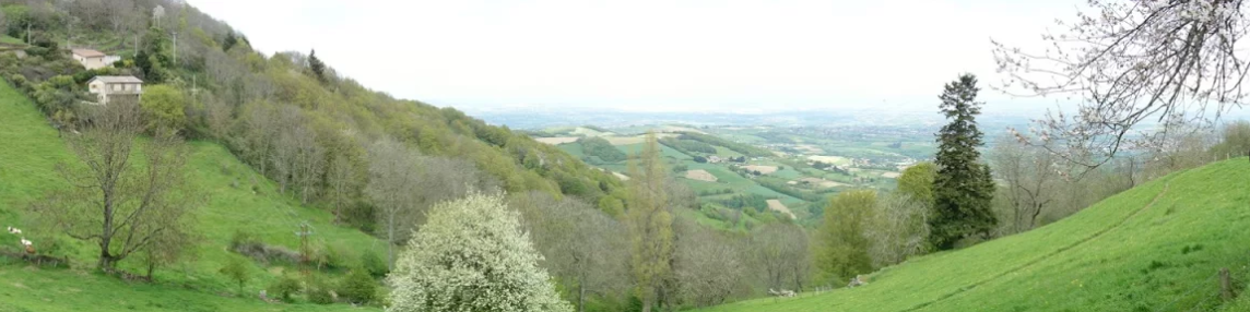 Trail des coursières ()