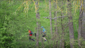 Trail des coursières