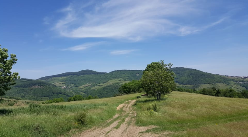 Trail de la Fontaine des Ânes ()