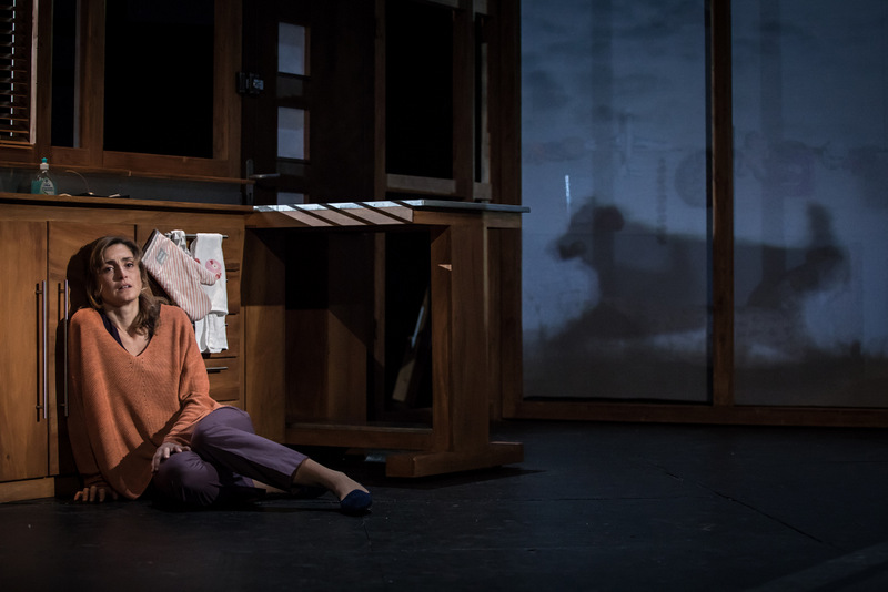 Julie Gayet dans “Rabbit Hole” de David Lindsay-Abaire – Mise en scène Claudia Stavisky © Simon Gosselin