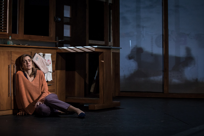 Julie Gayet dans “Rabbit Hole” de David Lindsay-Abaire – Mise en scène Claudia Stavisky © Simon Gosselin Julie Gayet dans “Rabbit Hole” de David Lindsay-Abaire – Mise en scène Claudia Stavisky © Simon Gosselin