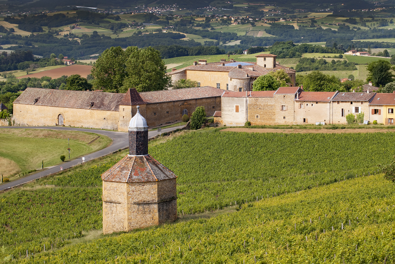 Beaujolais Pierre Dorées