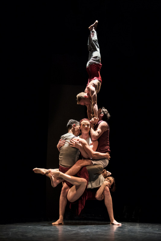 Driftwood, du Casus Circus © Dylan Evans