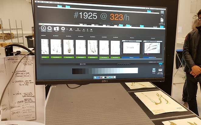 Le banc de numérisation peut traiter 3000 planches/jour. Le banc de numérisation peut traiter 3000 planches/jour.