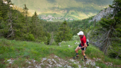 Les Drayes du vercors