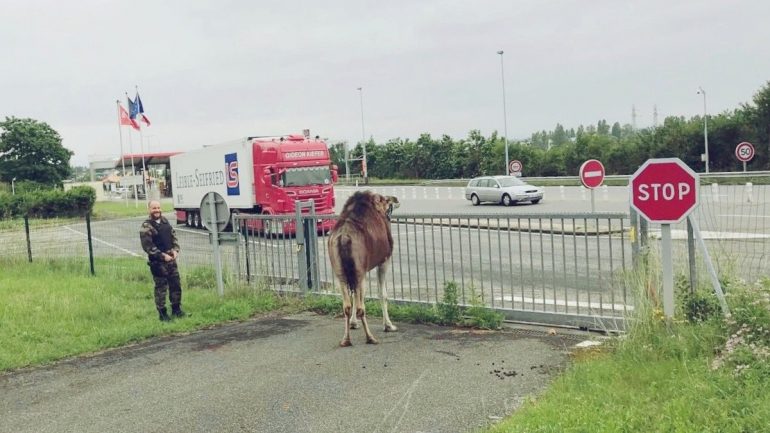 ©Gendarmerie de l'Ain.