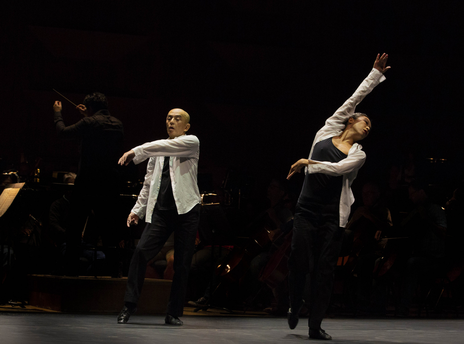 Symphonie fantastique – Chorégraphie Saburo Teshigawara, création Biennale de la danse 2018, à l'Auditorium de Lyon © Michel Cavalca (montage LC)