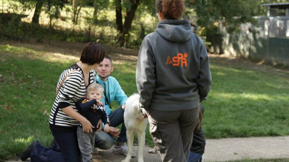 La SPA de Marennes Lyon organise régulièrement des portes ouvertes pour faire connaître son travail et sensibiliser le grand public à la maltraitance animale. Photo d'archives.