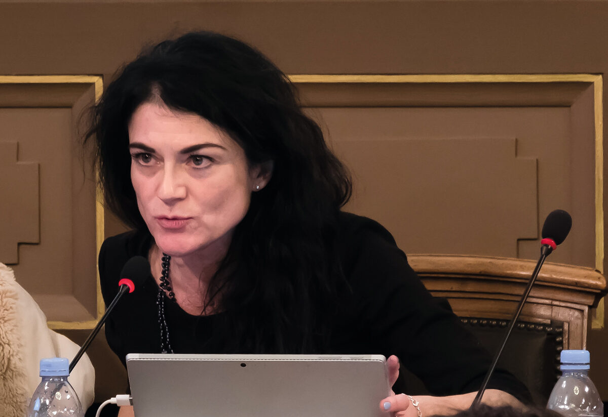 Nathalie Perrin-Gilbert au conseil municipal, le 19 novembre 2018 © Tim Douet