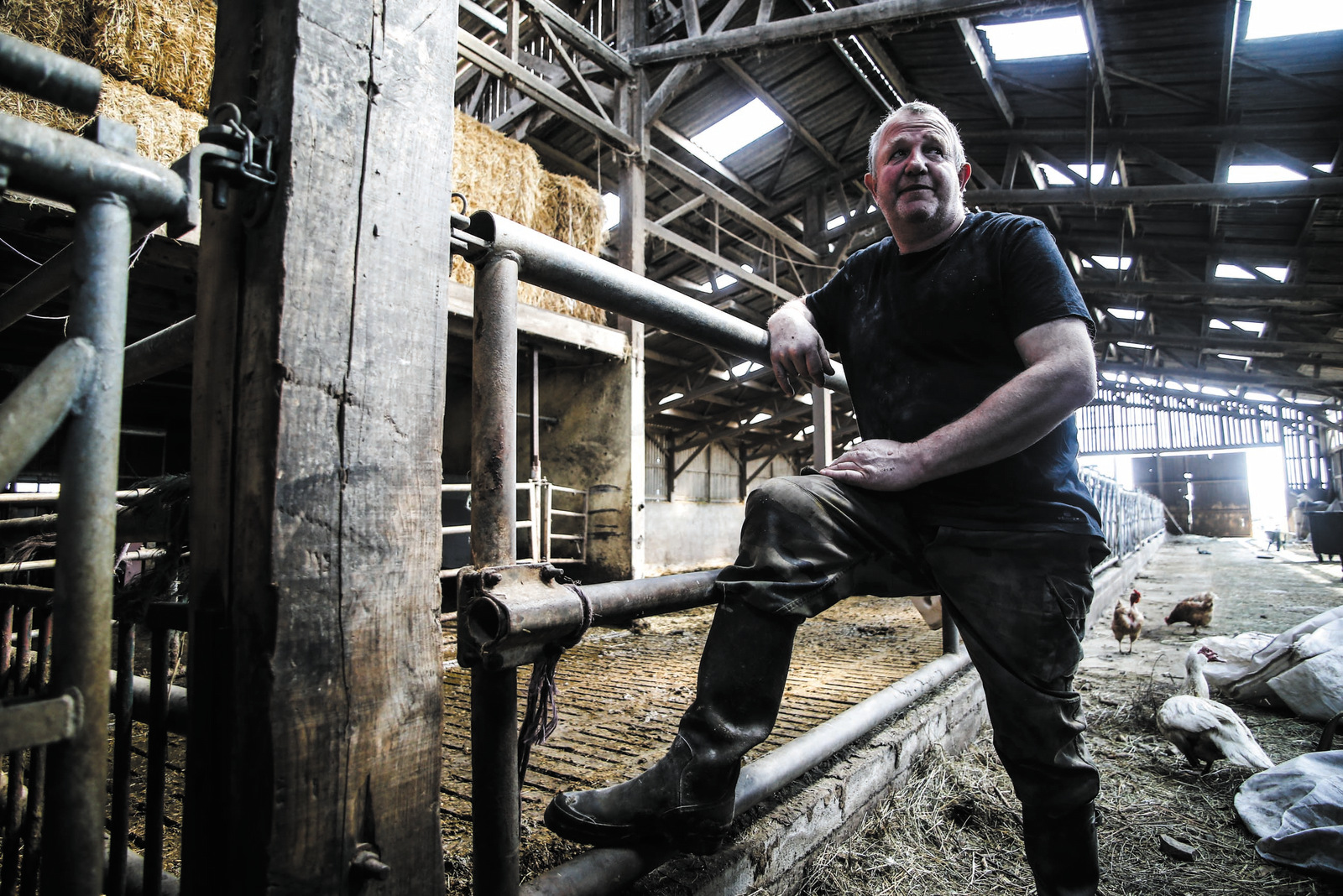 Le Grand Lyon lance une plateforme pour manger local Lyon Capitale