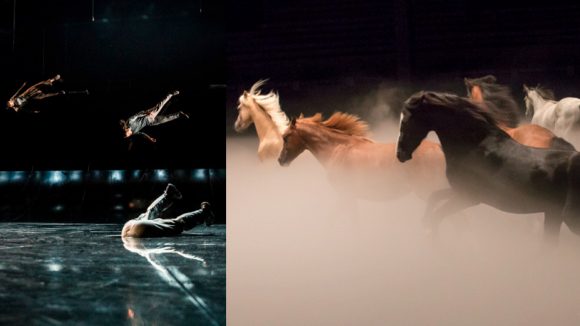 Images du Requiem de Yoann Bourgeois et du nouveau spectacle de Zingaro, Ex Anima © Géraldine Aresteanu / Marion Tubiana (montage LC)