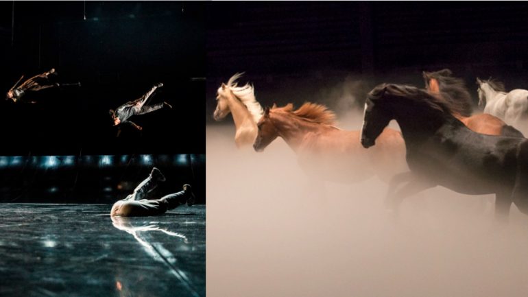 Images du Requiem de Yoann Bourgeois et du nouveau spectacle de Zingaro, Ex Anima © Géraldine Aresteanu / Marion Tubiana (montage LC)