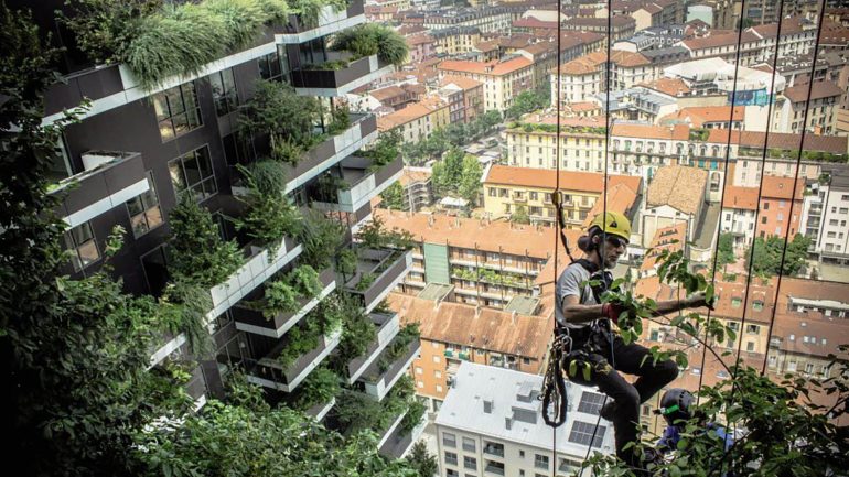 Projet de tour végétale à Lyon