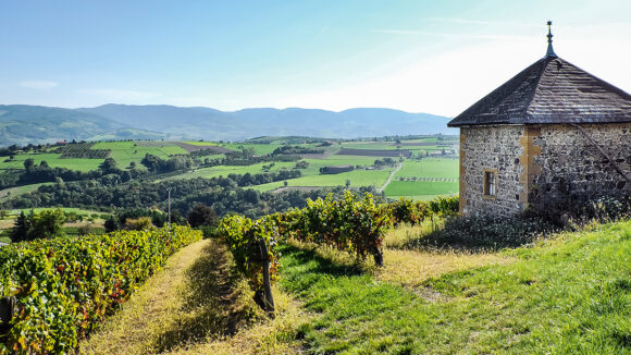 patrimoine région