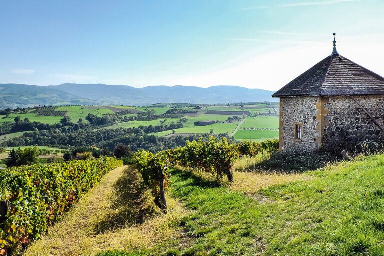 Les coteaux du Lyonnais face au réchauffement climatique