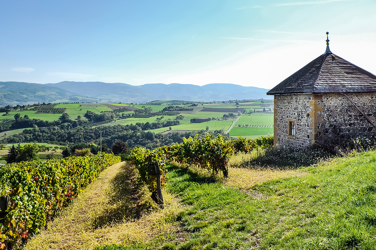 Journées européennes du patrimoine : premières programmations en Auvergne-Rhône-Alpes