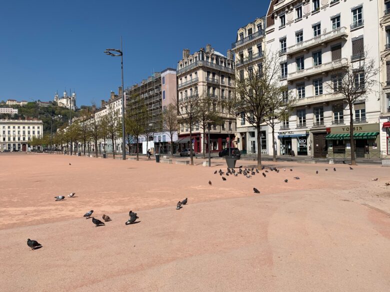 Pigeons place Bellecour à Lyon